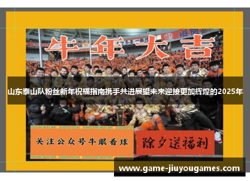 山东泰山队粉丝新年祝福指南携手共进展望未来迎接更加辉煌的2025年